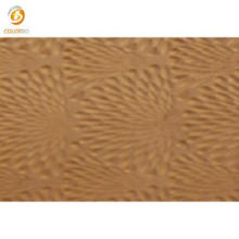 MDF Fireproof Interior Decoration Wall Panel for Interior Wall